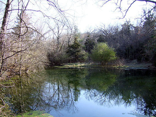 A pond at the Brooks-Hummel Nature Preserve near Lake Lucille